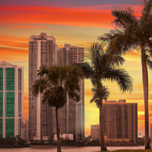 An image showcasing the vibrant Hollywood, FL skyline at sunset, with sleek high-rise buildings reflecting the warm hues of the setting sun, while palm trees sway gently in the foreground